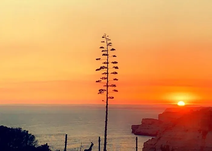 Lägenhet Luisela Mar Algarve Carvoeiro (Lagoa)