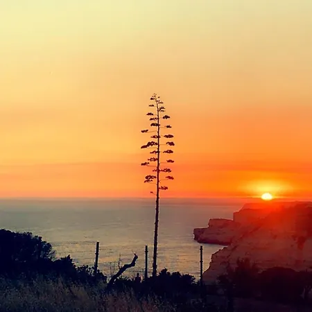 公寓 Luisela Mar Algarve 卡武埃鲁